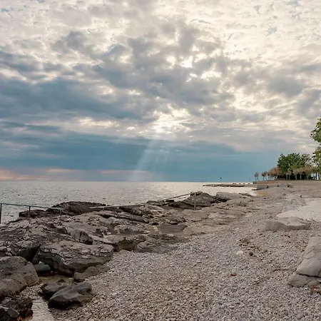 Konukevi Leo With Pool 3*